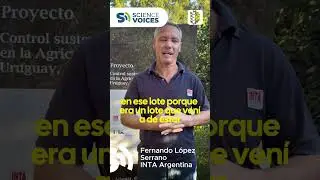 #ScienceVoices de @fontagro: Control sustentable del vector del HLB en la citricultura familiar