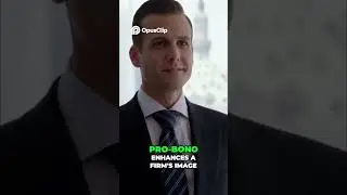 Pro Bono Case  Image vs  Reality   Legal Strategy