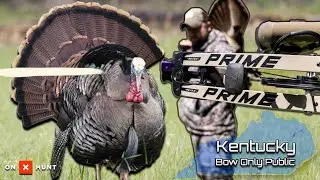 Bow ONLY Public Land Turkey