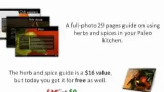 The Paleo Recipe Cookbook FREE Download