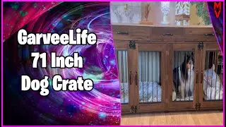 Две собаки? Не проблема! Собачья клетка Garveelife 71 дюйм || Обзор продукта MumblesVideos