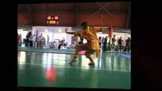 Shen Long Shaolin FANO