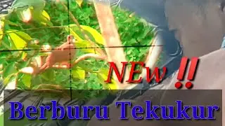 pertama di dunia bediler ‼️ hunting tipis