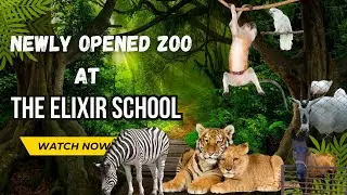 Amazing Zoo Adventure with The Elixir School | Educational & Fun Field Trip