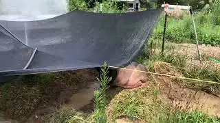 Turn Problems into Solutions |  Permaculture Basics