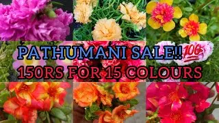 PATHUMANI SALE‼️💯 | 150rs for 15 colors!! | GARDEN DREAMS