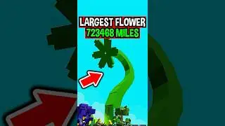 LARGEST FLOWER GROWN in Roblox Grow a Garden..