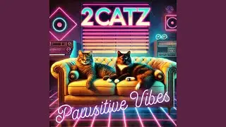 Meowgroove