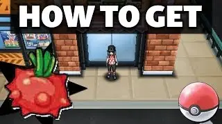 HOW TO GET Tomato Berry in Sun and Moon