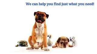 Crystal Coast Real Estate