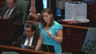 State Rep. Avery Bourne on Senate Bill 1