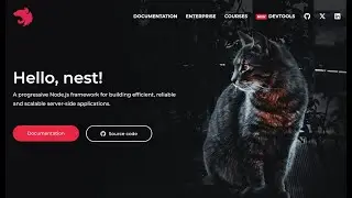 What is NestJs And Why Should I use that?