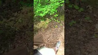 NATURE - Trail Path of Marks Cove Conversion Area (My Camera Turned On)