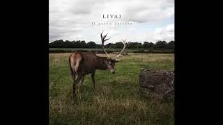 Livai - Nelle Terre Ostili