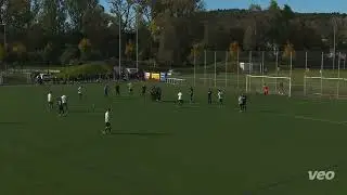 7  Spieltag Kreisliga A1 POES Anagenisis vs. TSV Miedelsbach - Alle Tore