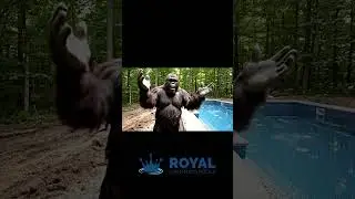 BIGFOOT BUILDS INGROUND POOL FROM royalswimmingpools.com