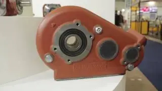 Spot Rebos