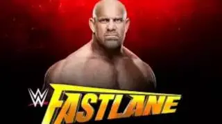 WWE - FASTLANE 2017 MATCH CARD