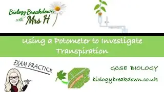 Using a Potometer to Investigate Transpiration with Exam Questions
