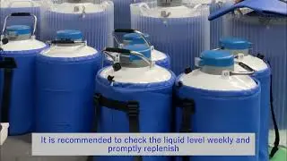 How Often Should You Refill a Liquid Nitrogen Storage Tank? What Affects the Frequency?