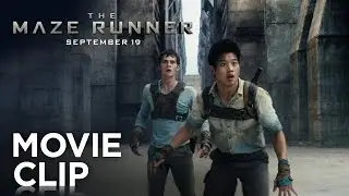 The Maze Runner | 