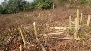 REGENERATIVE FARMING SYSTEM