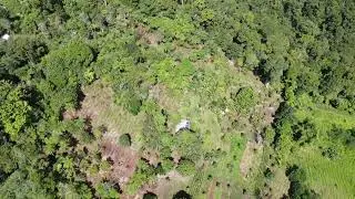 Unseen Toril: BIR Tree Planting Site Eden
