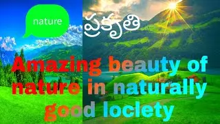 Amazing beauty of nature in naturally good loclety  nature
