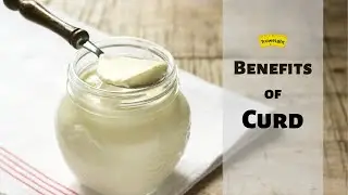 Benefits of Curd for a healthy lifestyle | Truweight
