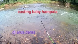 Casting baby Hampala di arus deras