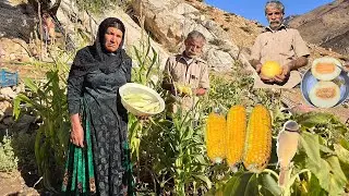 🌽🥝Harvesting corn and organic products from a nomadic farm in the mountains | Nomadic life in Iran