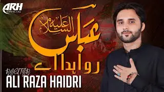 Abbas Ro Adha Hai || Ali Raza Haidri || New Nohay 2024 || Saraiki Nohay || Album 19 || ARH Official