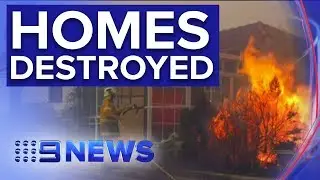 Bushfire destroy at least three homes in northern NSW | Nine News Australia