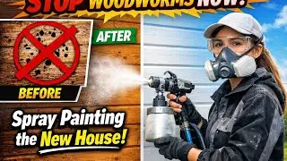 Spray paint the new house to protect the house from woodworms that damage the house