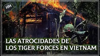 As&iacute; operaban los 'Tiger Force', la unidad M&Aacute;S SANGRIENTA de EE.UU en la Guerra de Vietnam