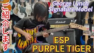 George Lynch Signature Model !! ESP PURPLE TIGER 弾いてみました!! #guitar #弾いてみた