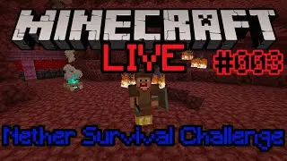 Minecraft, aber der Spawn ist im Nether - Nether Survival Challenge #003