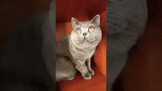 фантастика 😀