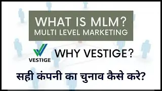What is MLM and Why Vestige