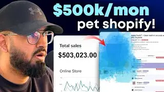 I Found a $500K/Month Pet Store Selling THIS (Live Product Research)