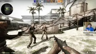 Fox Beard Live Stream