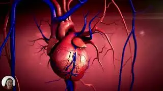 Auscultation of the heart