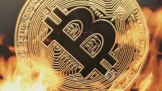$SCORP token burn 20 Million from Scorpion Casino!!!