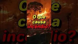 Como acontecem as queimadas? #geografia #amazonia #incendio
