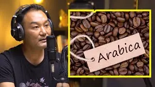 Producing Arabica Coffee in Nepal | Nima Tenzing Sherpa | Sushant Pradhan Podcast