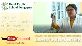 CLASS XII | TOPIC: INORGANIC SALT ANALYSIS | CHEMISTRY | LAB | DPS DURGAPUR