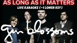 AS LONG AS IT MATTERS Live Karaoke by Gin Blossoms with Original backing Vocals