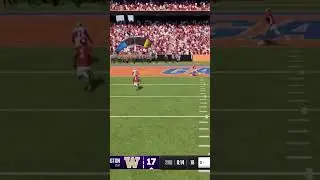 College Football 25 Reggie Wayne Touchdown