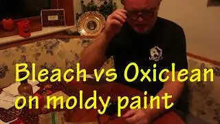 BLEACH AND OXICLEAN ON BLACK MOLD METAL CAR ROOF PAINT - SAFE?