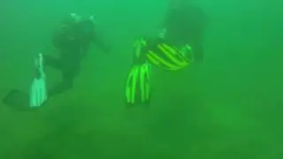 Nurkowanie Rekreacyjne - Helenesee